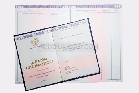 диплом ВШНИ